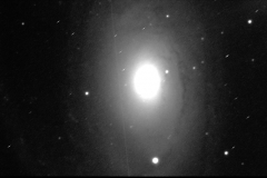 Bodes Galaxy, M81 in Ursa Major