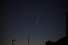 NeowiseIMG_7431
