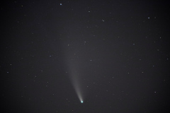 en_IMG_7895