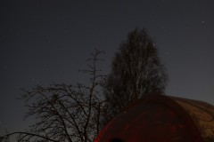 Venus  from the backgarden